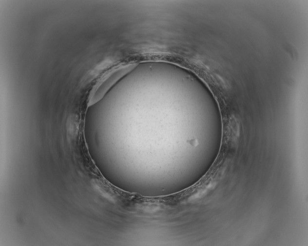 X0000111181157200907081229