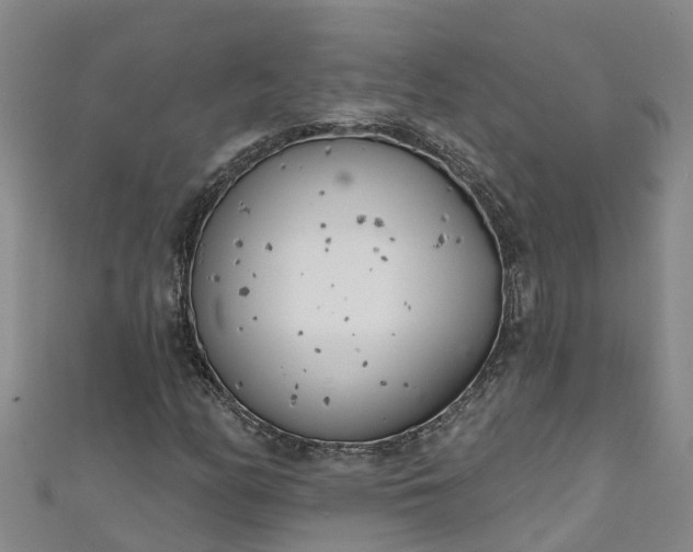 X0000111181158200907081229