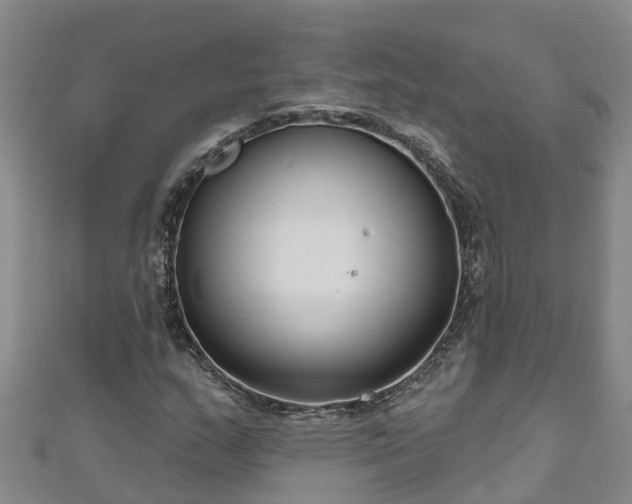 X0000111181159200907081229