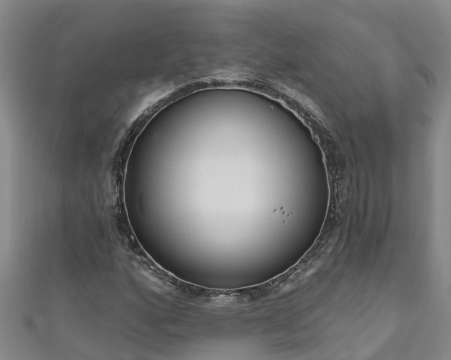 X0000111181160200907081229