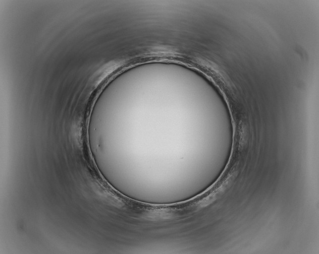 X0000111181162200907081229