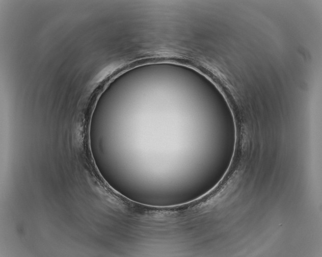 X0000111181163200907081229