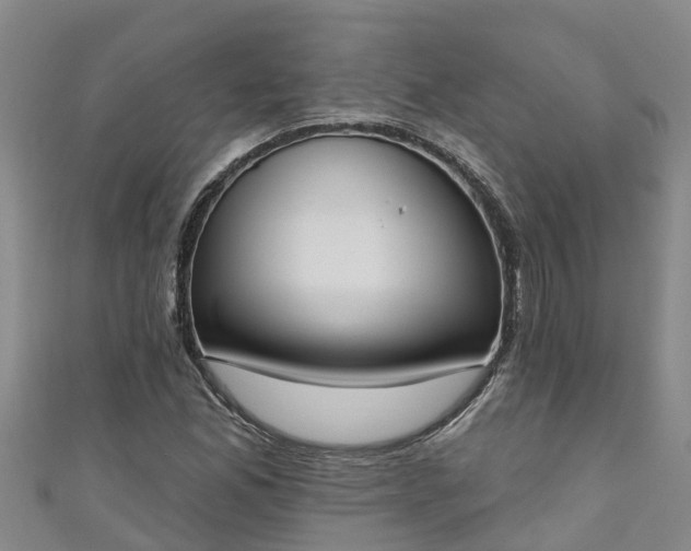 X0000111181165200907081229