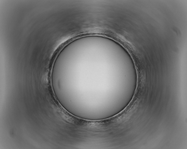 X0000111181166200907081229