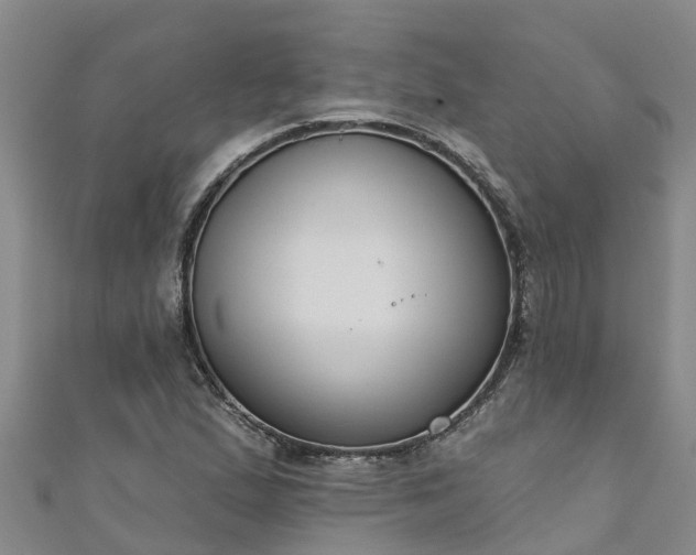 X0000111181167200907081229