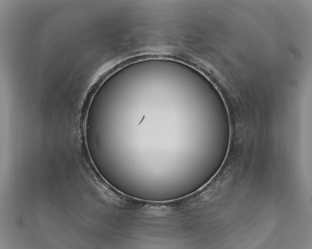 X0000111181168200907081229