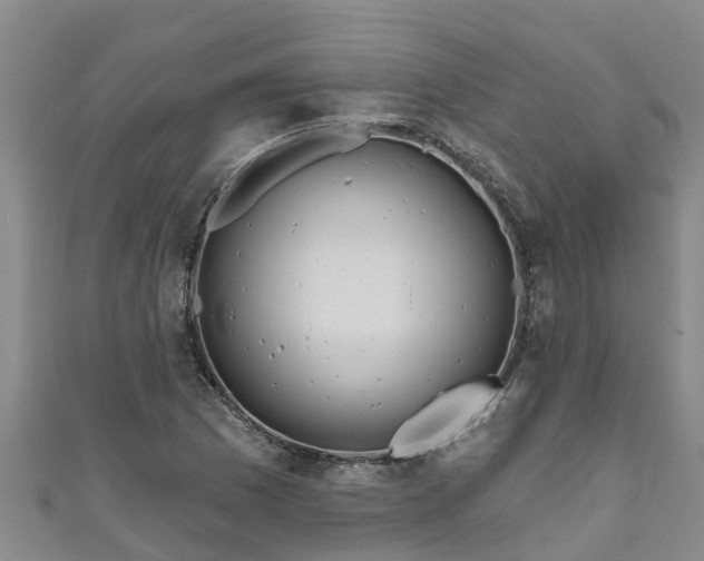 X0000111181169200907081229