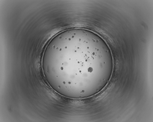 X0000111181170200907081229