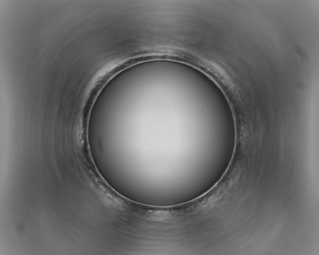 X0000111181172200907081229