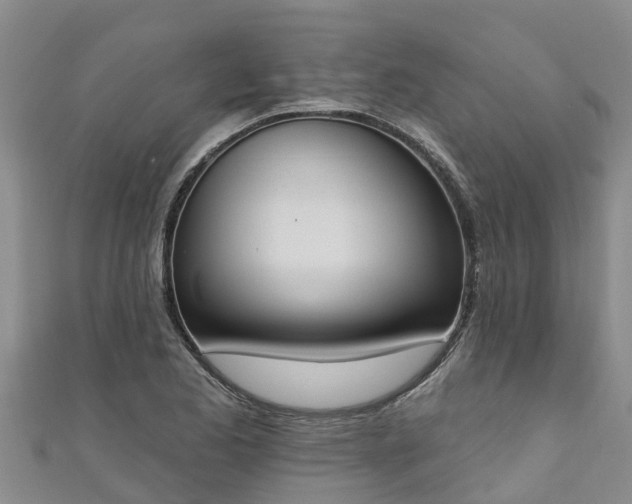 X0000111181173200907081229