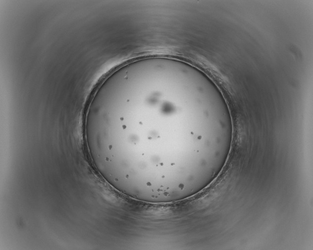 X0000111181174200907081229