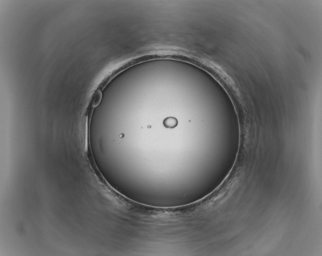 X0000111181175200907081229