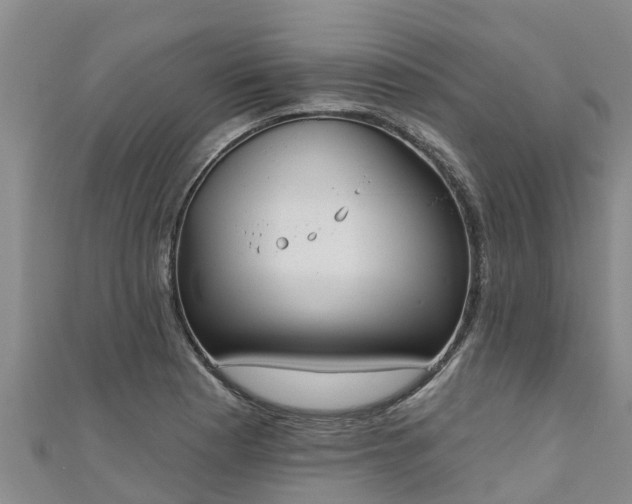 X0000111181177200907081229