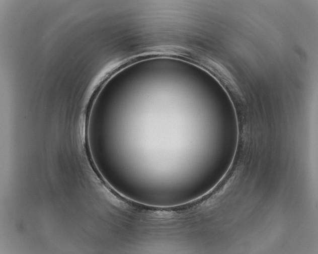 X0000111181180200907081229