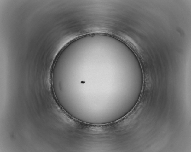 X0000111181182200907081229