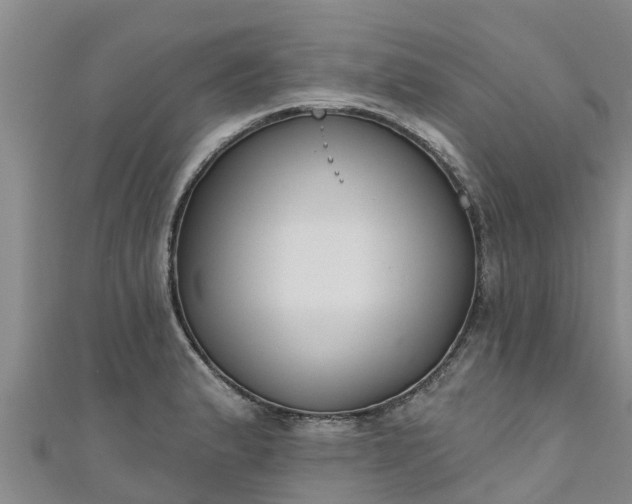 X0000111181183200907081229