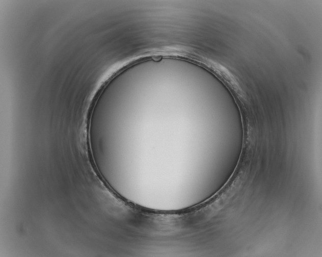 X0000111181184200907081229