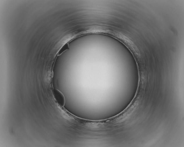 X0000111181185200907081229