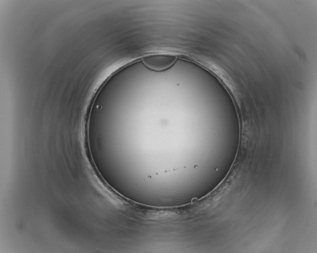 X0000111181187200907081229