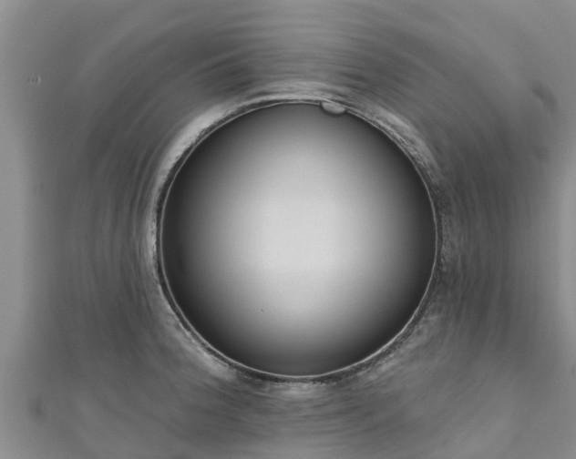 X0000111181188200907081229