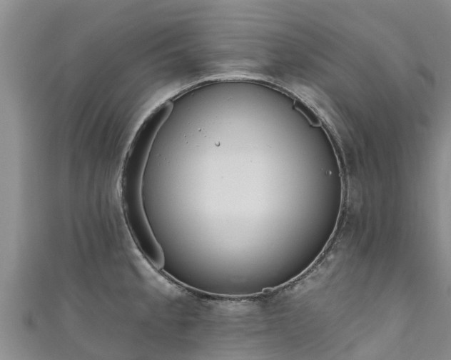 X0000111181189200907081229