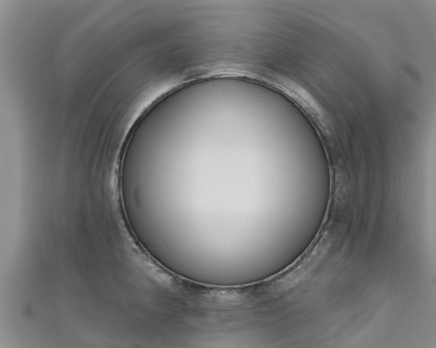 X0000111181190200907081229