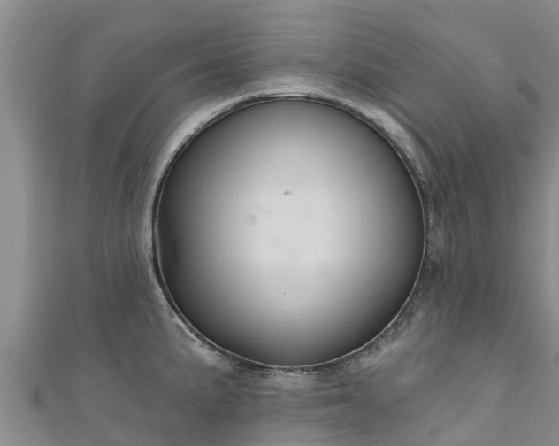 X0000111181191200907081229