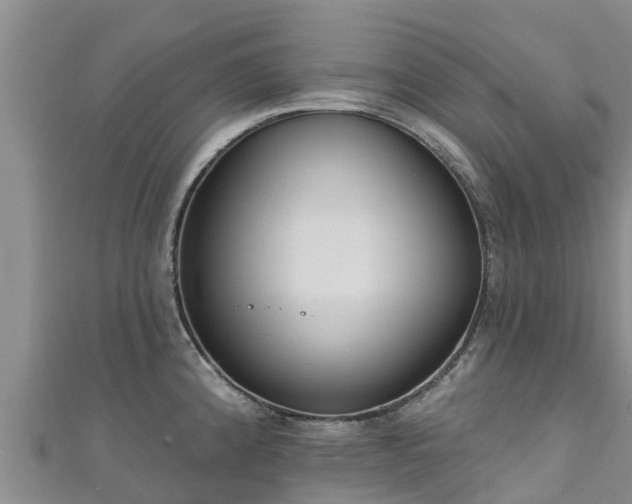 X0000111181192200907081229