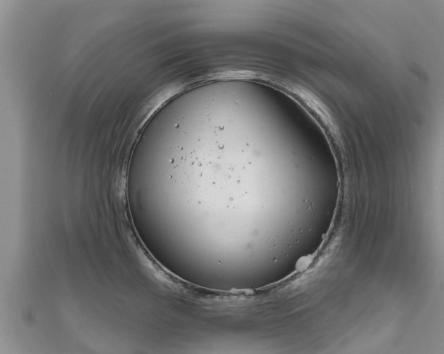 X0000111181193200907081229