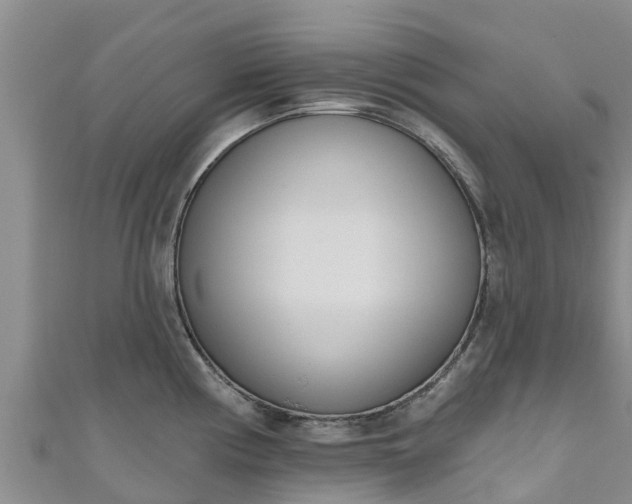 X0000111181194200907081229