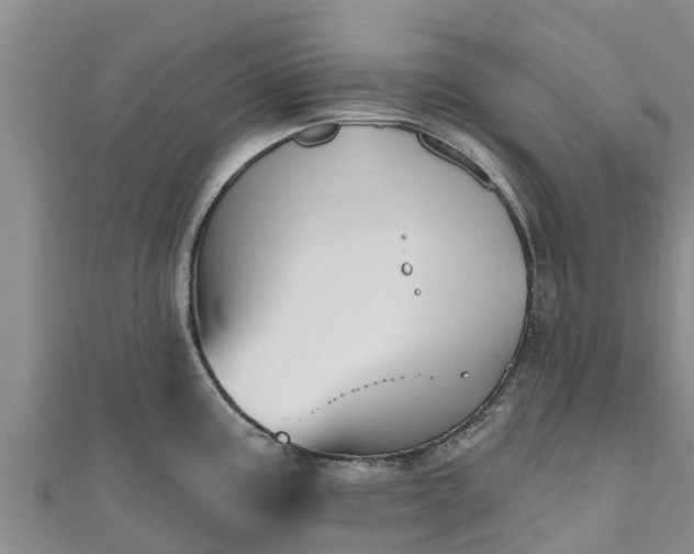 X0000111181195200907081229