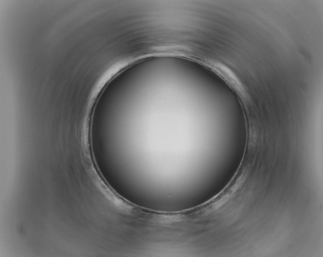 X0000111181196200907081229