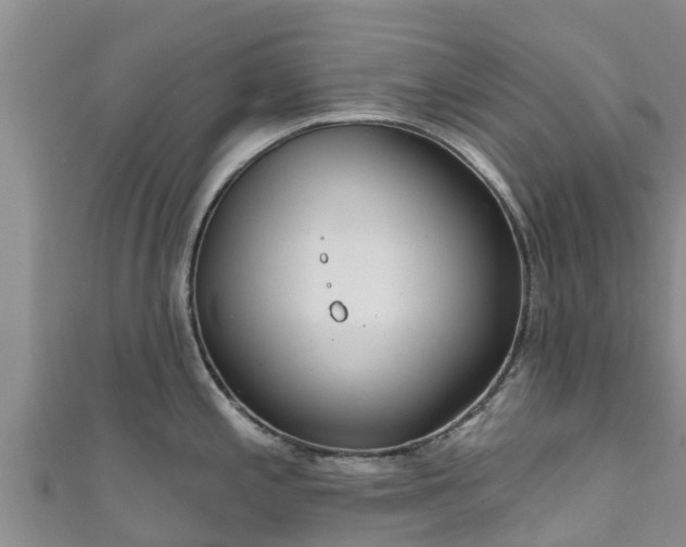 X0000111181197200907081229