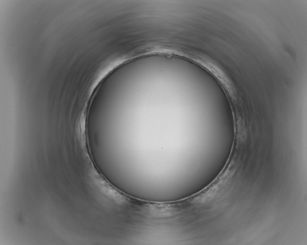 X0000111181198200907081229