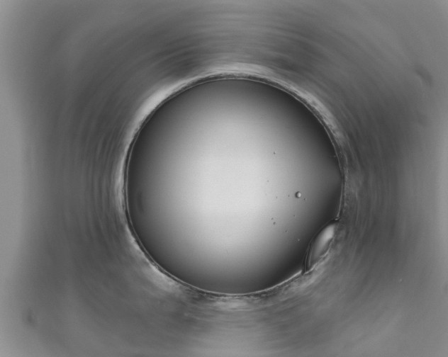 X0000111181199200907081229