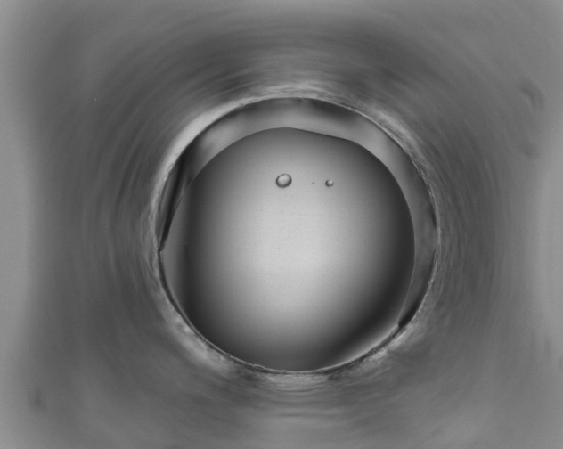 X0000111181200200907081229