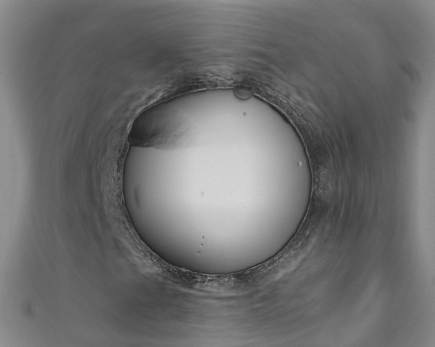 X0000111181201200907081228