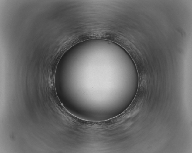 X0000111181202200907081228