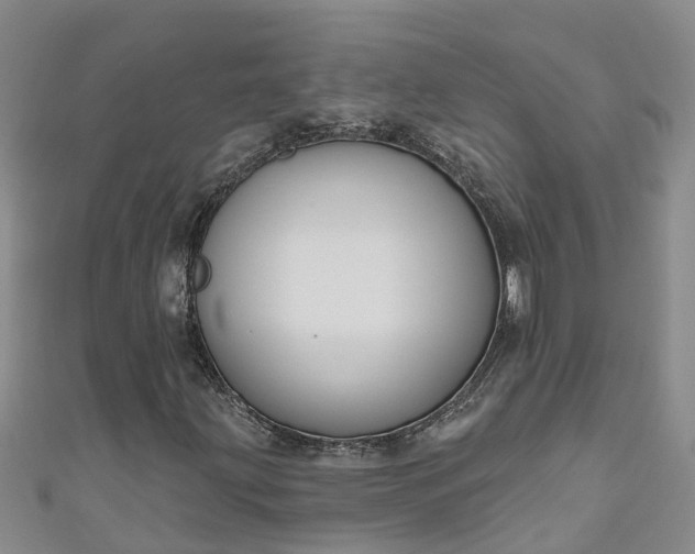 X0000111181203200907081228