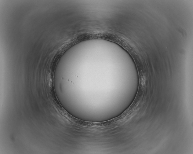 X0000111181204200907081228