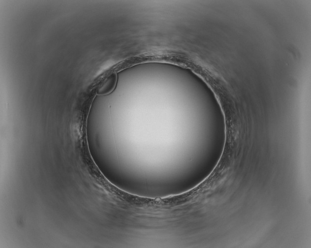 X0000111181206200907081228