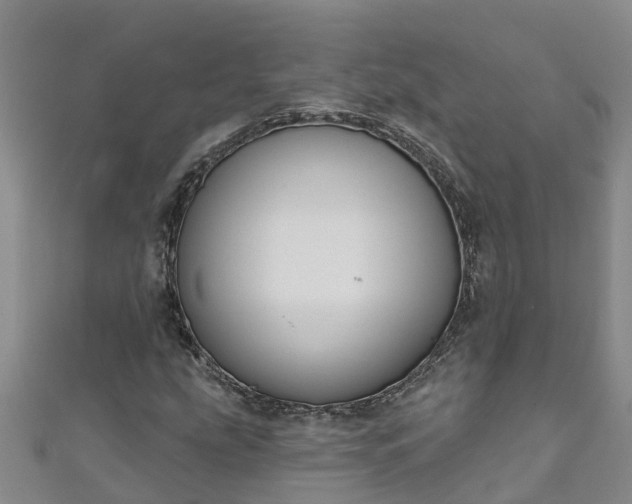 X0000111181207200907081228