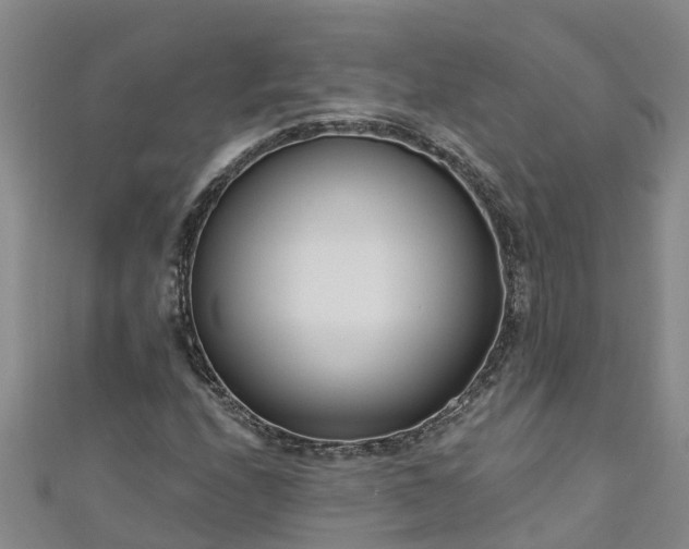 X0000111181208200907081228