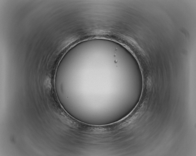 X0000111181209200907081228