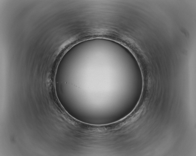 X0000111181210200907081228