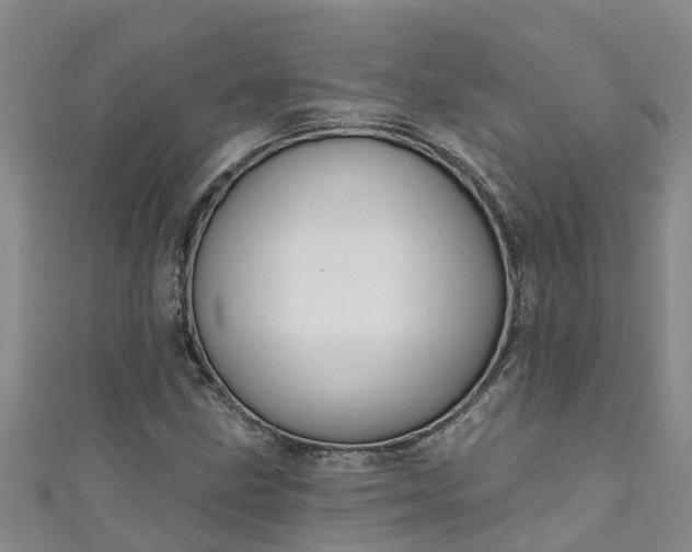 X0000111181211200907081228