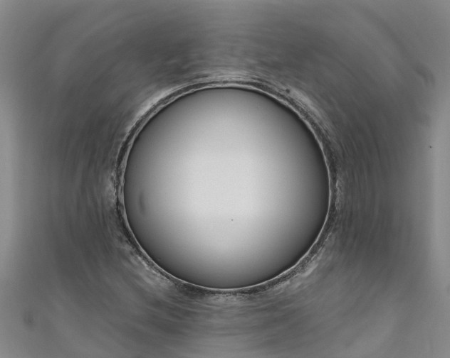 X0000111181212200907081228