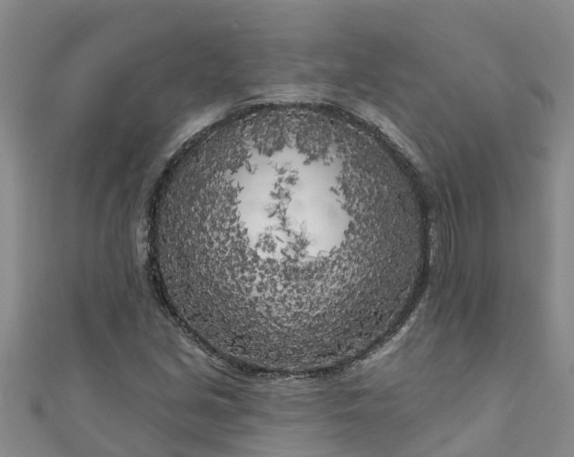 X0000111181213200907081228