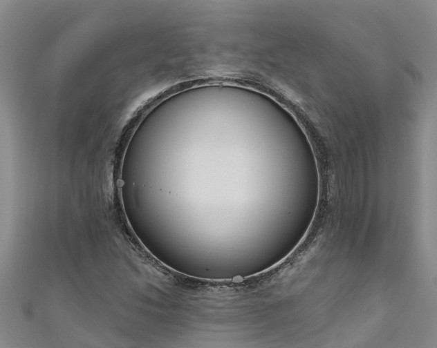 X0000111181214200907081228