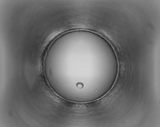 X0000111181215200907081228